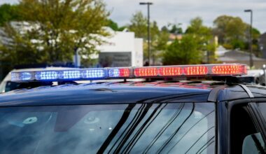 Woman and dog killed in shooting inside Jackson apartment, suspect charged with multiple felonies