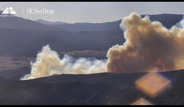 Brush fire prompts hard closure on 5 Freeway in Gorman – NBC Los Angeles