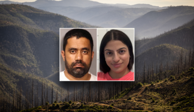 Gurinder Gill charged with Sacramento murder after false ICE claim