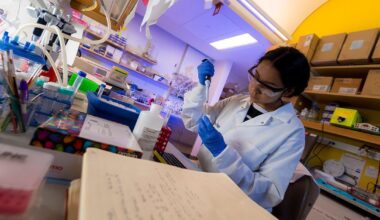 UC San Diego Keeps No. 1 Spot for Best Public College for Research in Washington Monthly Ranking