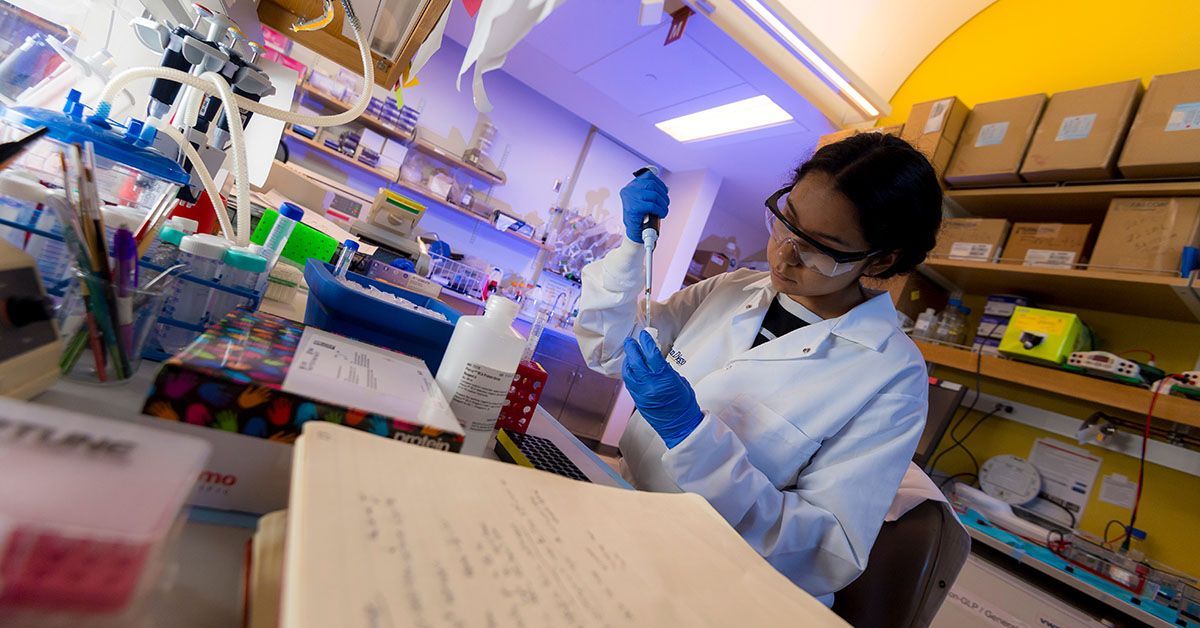 UC San Diego Keeps No. 1 Spot for Best Public College for Research in Washington Monthly Ranking