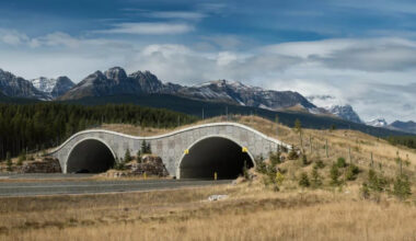 The World’s Largest Wildlife Crossing Finally Has an Opening Date in California
