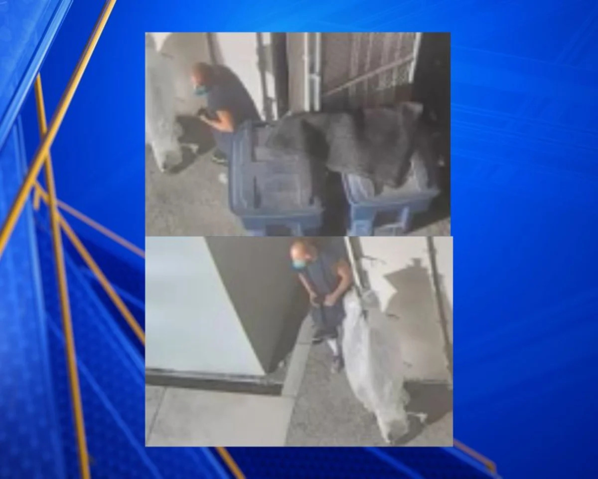 Bakersfield police investigating burglary at Williams Elementary School