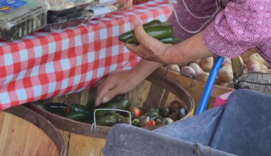 San Jose food bank facing potential closure due to fines