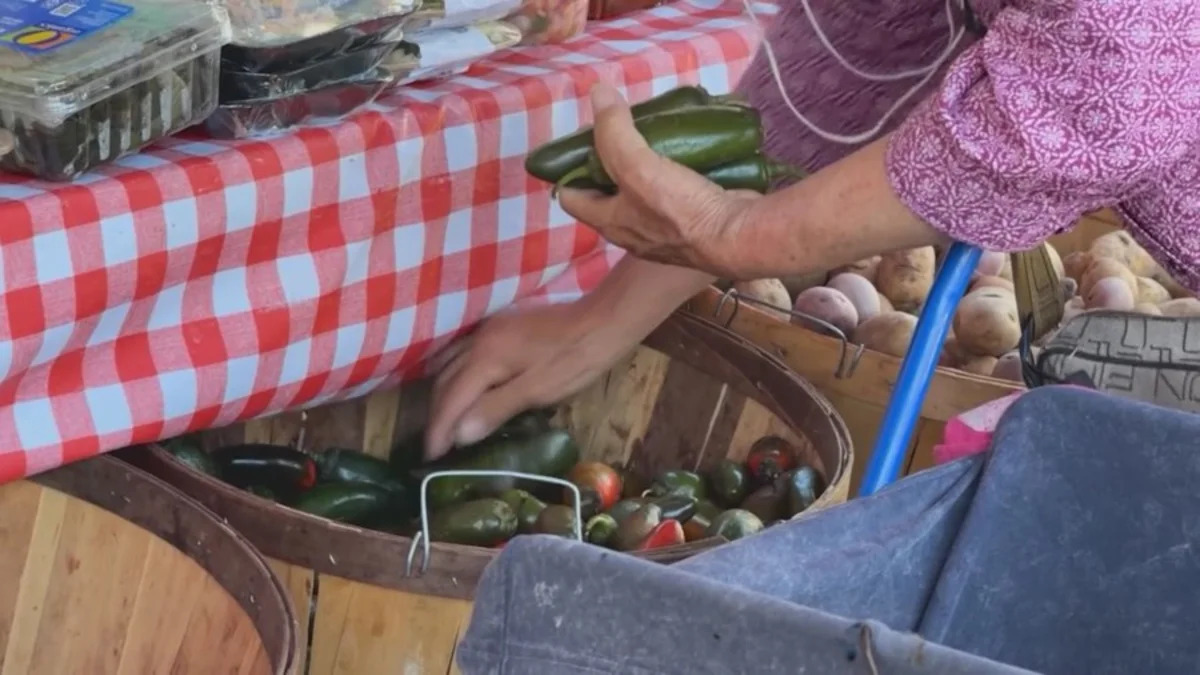 San Jose food bank facing potential closure due to fines