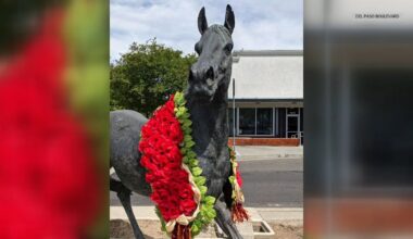 Why a stolen bronze horse statue means more than metal to North Sacramento
