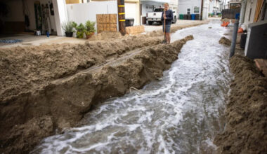 Here's what the rain means for Southern California's fire season