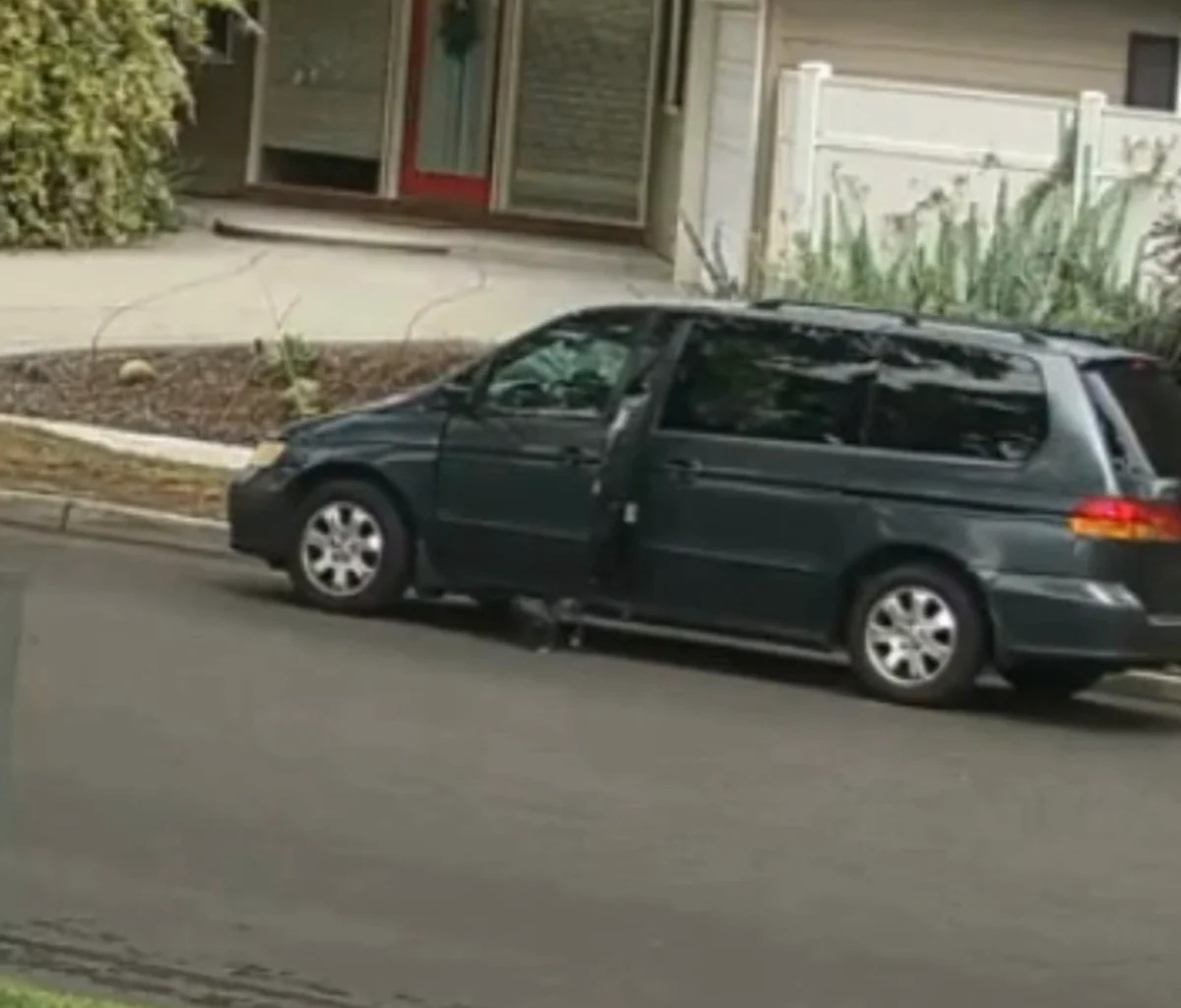 Elderly California Woman Allegedly Ran Over Puppy Intentionally, Killing It