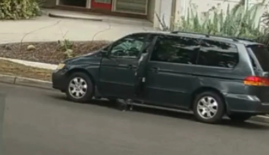 Elderly California Woman Allegedly Ran Over Puppy Intentionally, Killing It