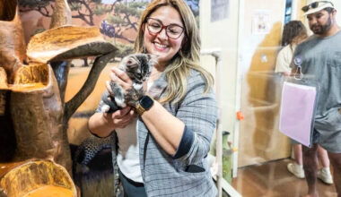 Front Street animal shelter improving care despite crowding, aging Sacramento facility