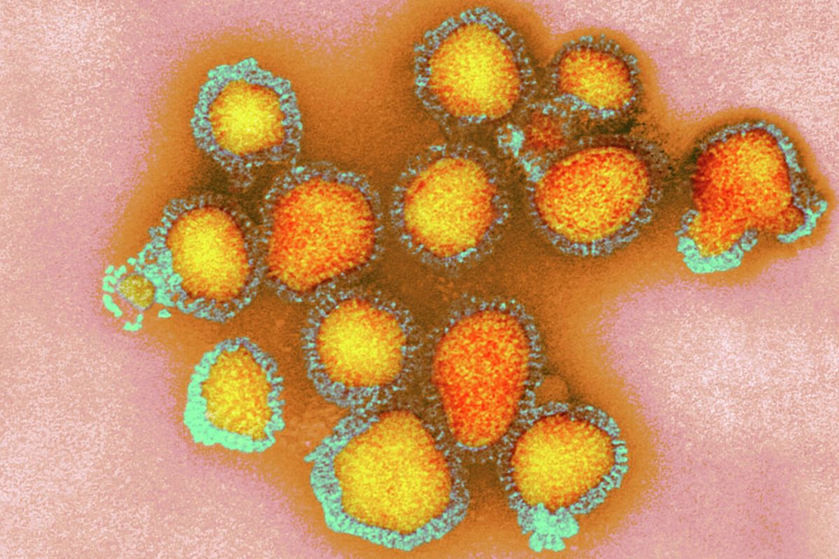 'Game on': Bay Area now epicenter of California flu cases