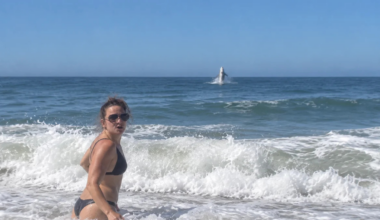 Great White Shark Photobombs Woman in Peak ‘Sharktober’ Off California (Video)