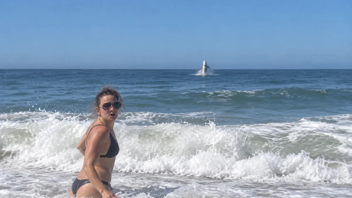 Great White Shark Photobombs Woman in Peak ‘Sharktober’ Off California (Video)