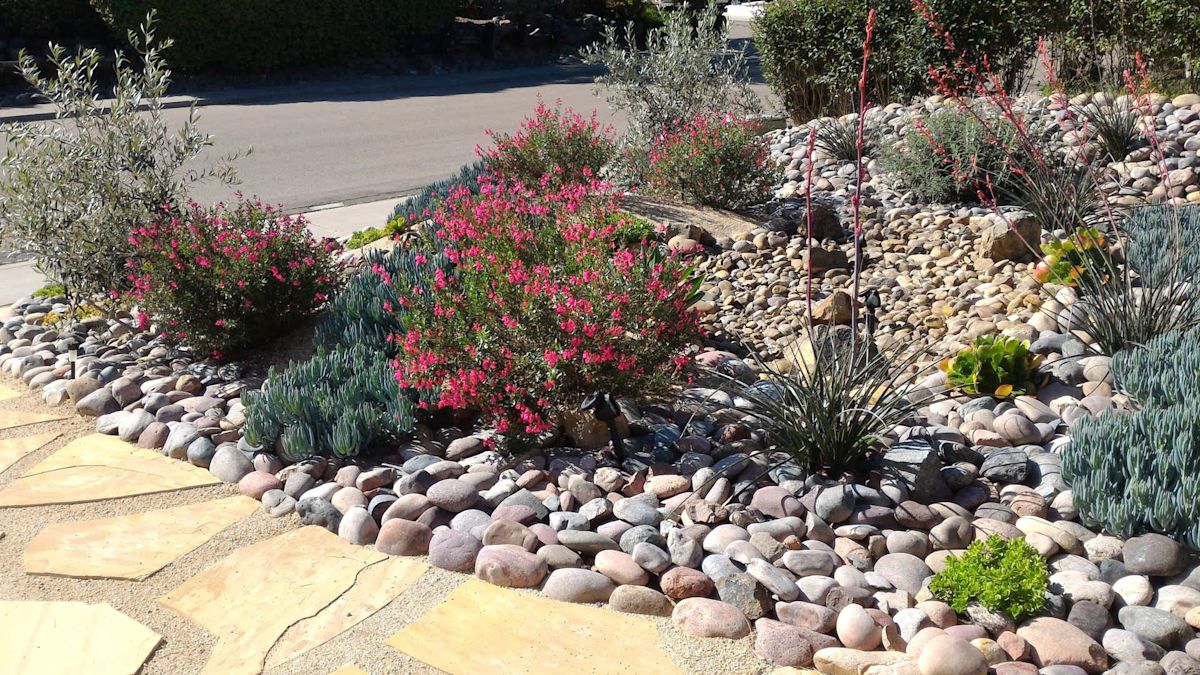 California city boosts lawn rebate to $4 a foot to swap water-guzzling grass for drought-tolerant yards