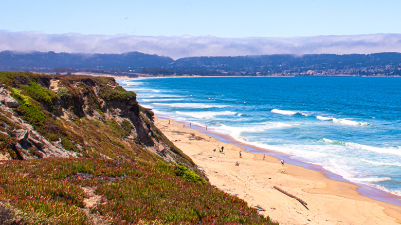 Beach by Monterey Bay near Seaside, California