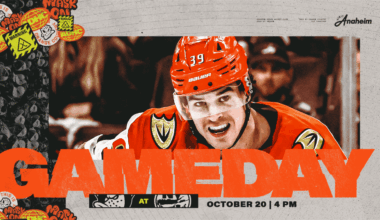 PREVIEW: Ducks Look to Rebound on Long Island