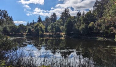 California's Nature Preserve Near San Jose Is A Scenic Escape With Redwoods, Unique Wildlife, And Trails