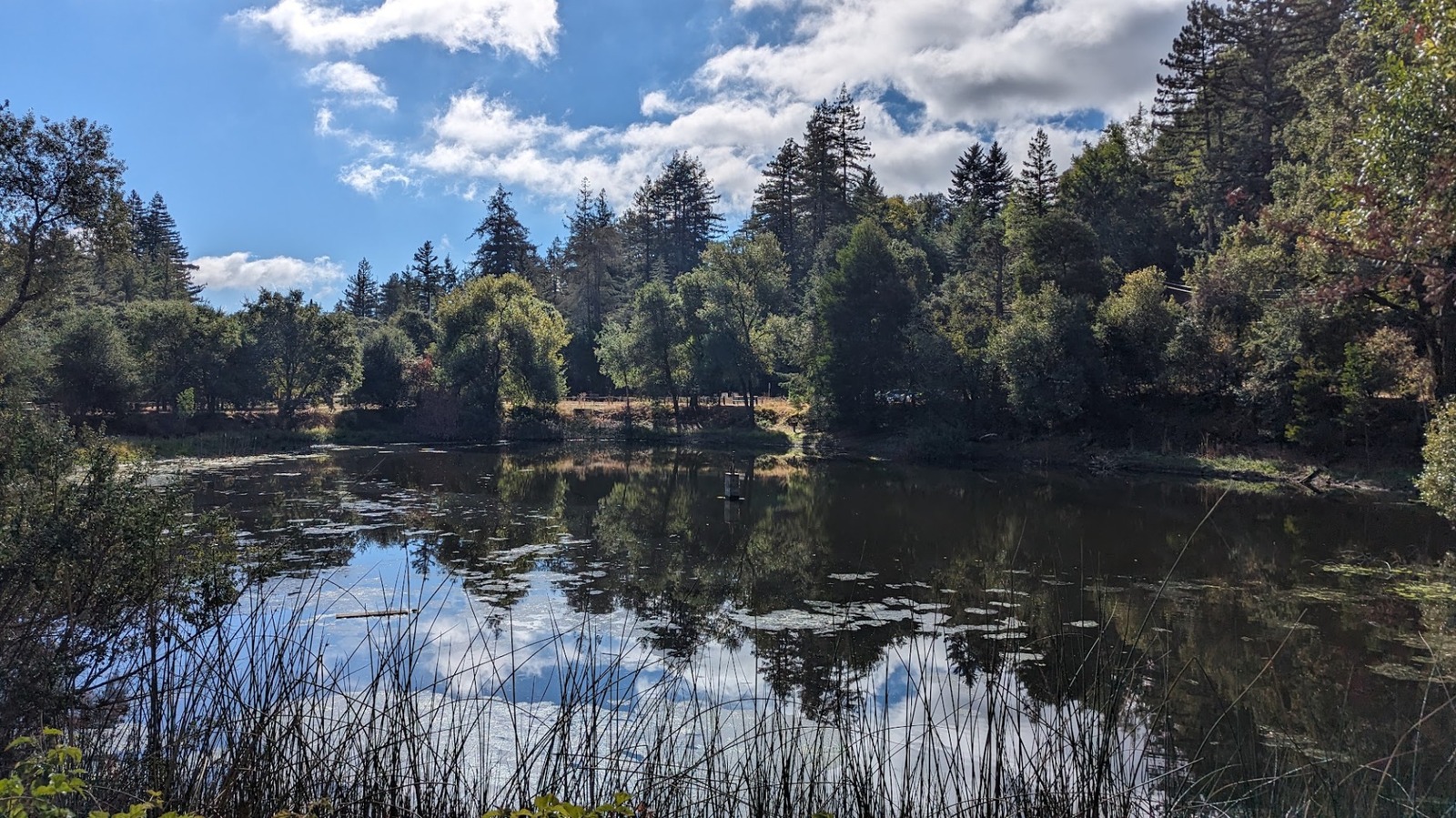 California's Nature Preserve Near San Jose Is A Scenic Escape With Redwoods, Unique Wildlife, And Trails