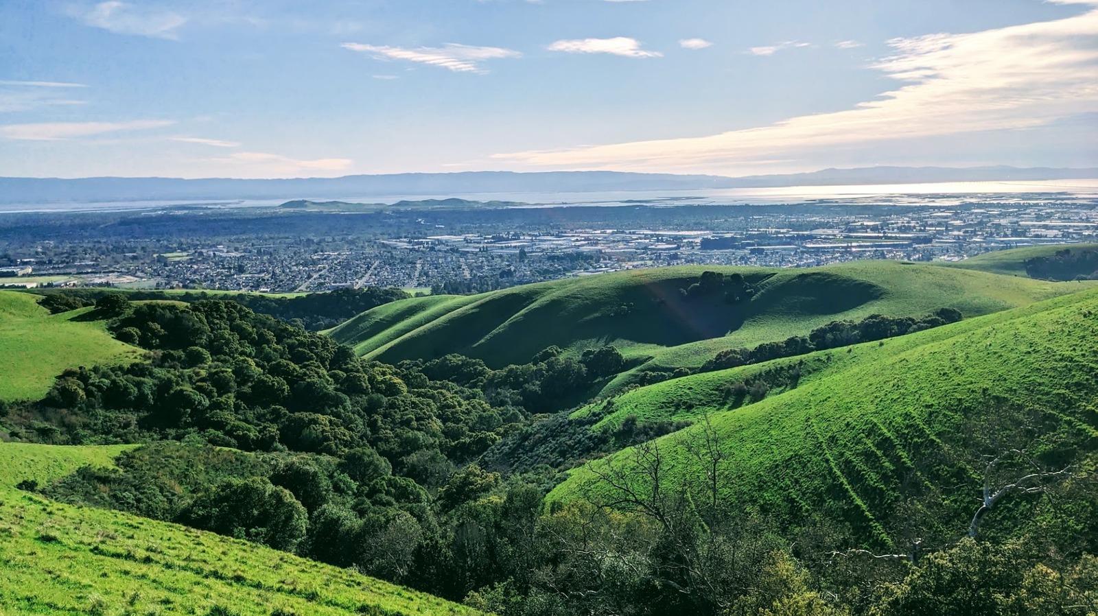 Between San Francisco And San Jose Is A Friendly California City With Gardens, Parks, And Global Eateries