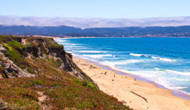 California's Best Butcher Shop Can Be Found In A Picturesque Coastal City South Of San Jose