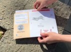 County Responds to U.S. DOJ Lawsuit on Voter Eligibility