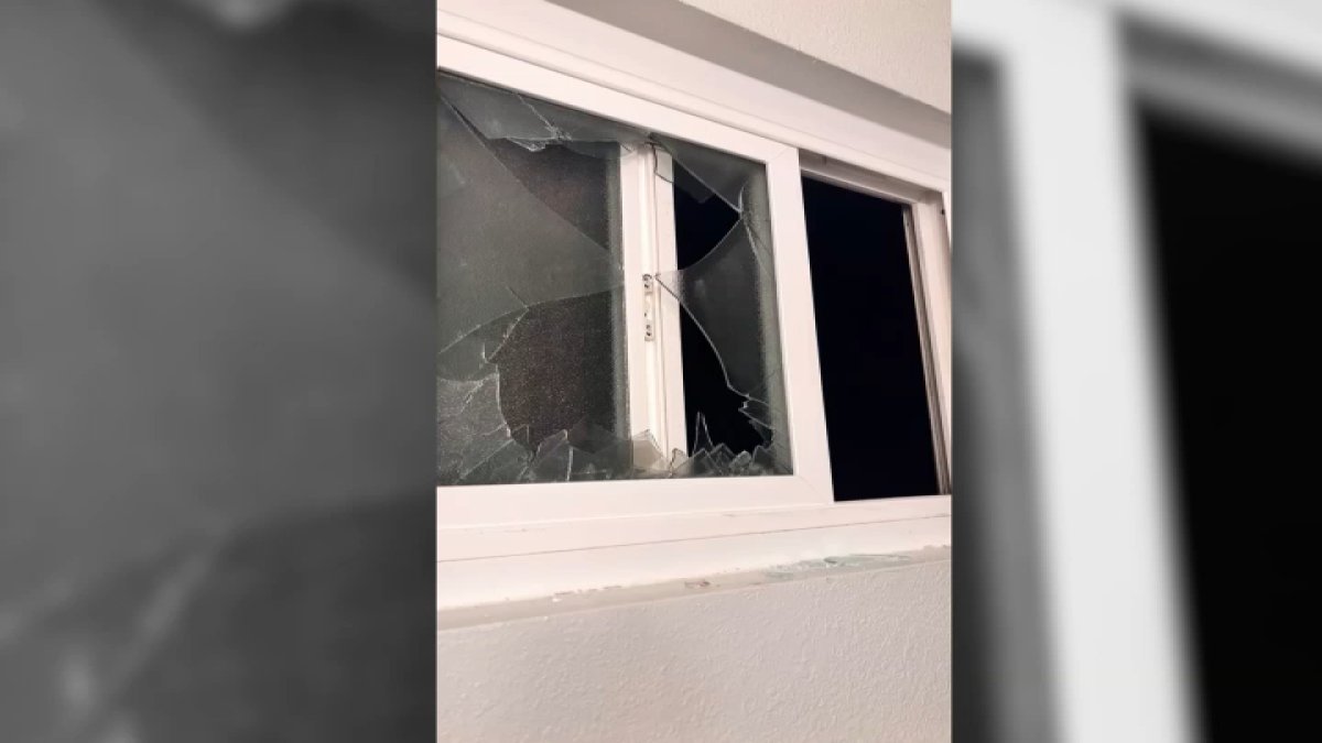 Dozens of partygoers invade, trash, and damage newly renovated Mira Mesa home – NBC 7 San Diego