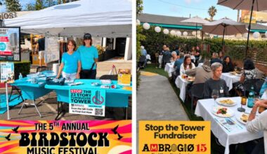 Update on the Turquoise Tower in Pacific Beach — Congressman Scott Peters Remains Opposed to It – OB Rag