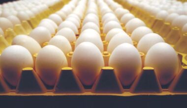Trump administration lawsuit against California egg rules can proceed