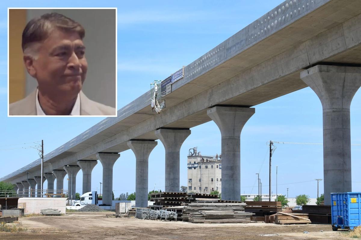 High speed rail CEO dodges questions after stripped of contracting authority