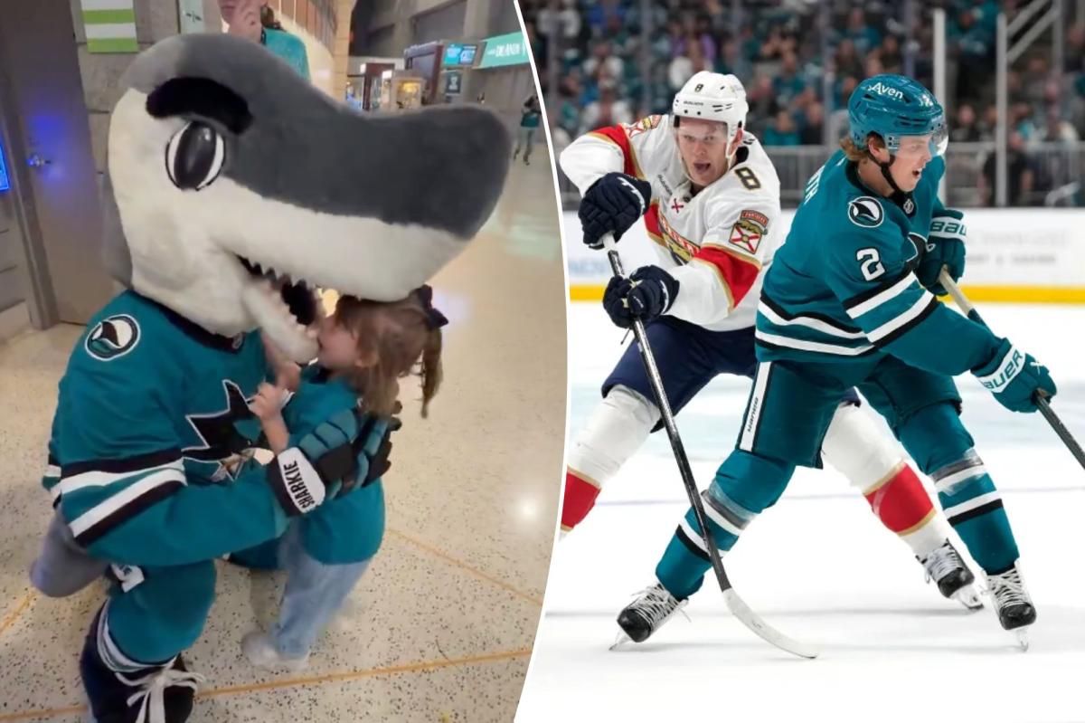 San Jose Sharks mascot gives young fan a terrifying surprise