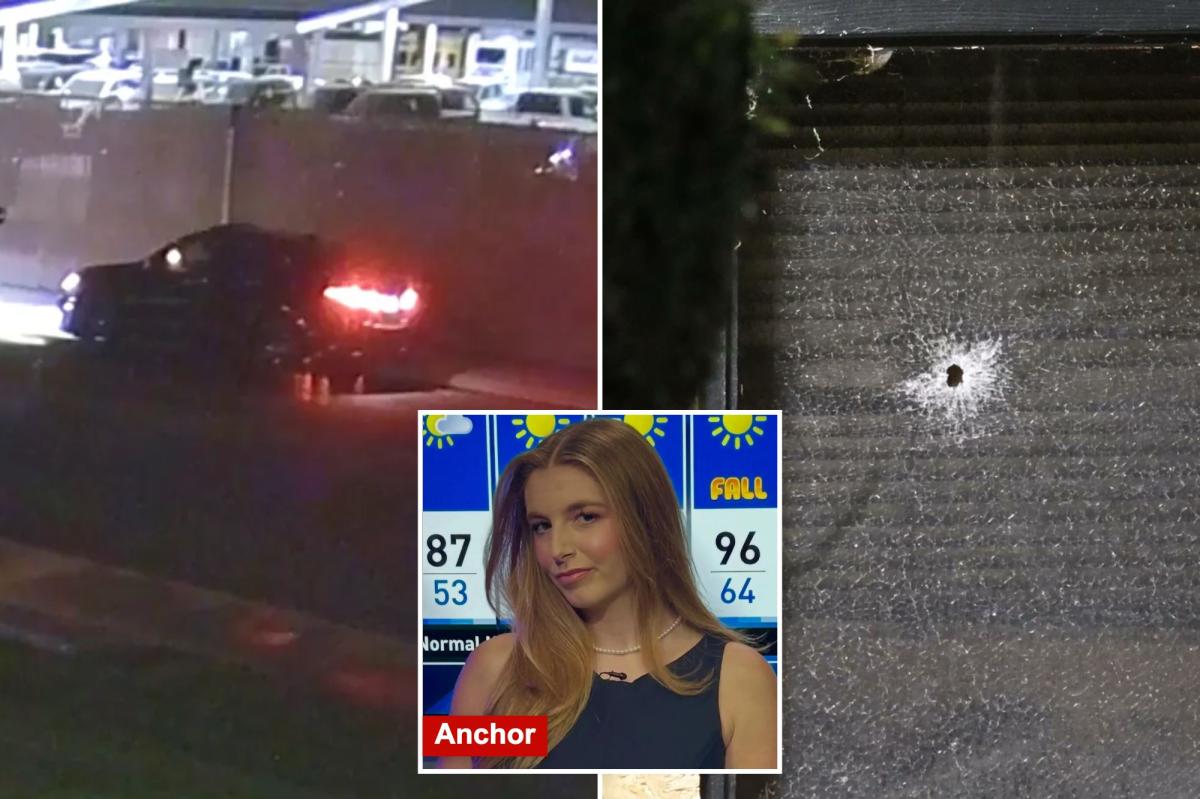 Woman accused of shooting California newsroom twice arrested with gun