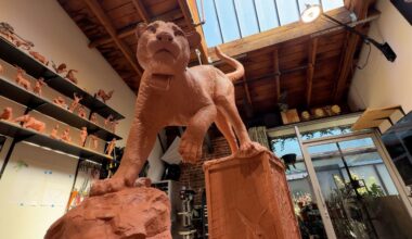 Sculpture of P-22 to be placed in Griffith Park