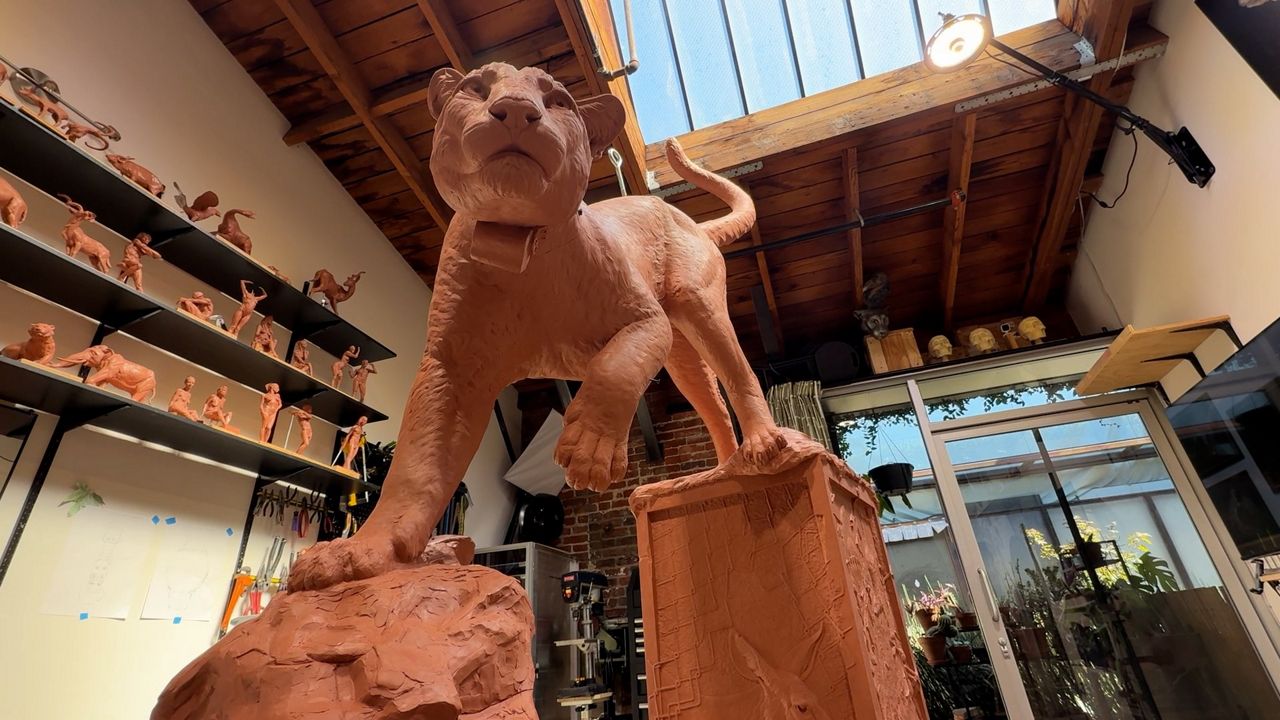 Sculpture of P-22 to be placed in Griffith Park