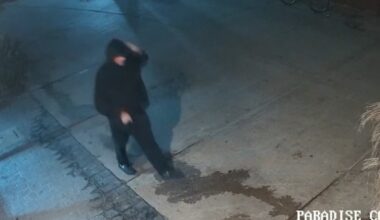 Tips sought in fatal shooting of security guard at Crystal Pier in Pacific Beach – NBC 7 San Diego