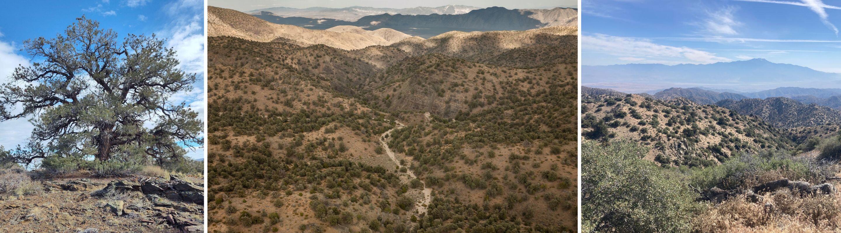 A composite image showing a dry creekbed winding through scrub-covered arid foothills and shallow canyons toward layered mountain ranges on the horizon.