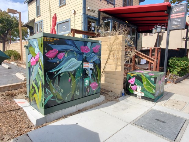 Painted utility boxes were unveiled Sept. 20 as part of a Point Loma Association effort to add public art to the Peninsula area. (Ashley Mackin-Solomon)