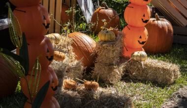 How to celebrate Halloween in Long Beach — whether you like tricks or treats • Eat. See. Do.