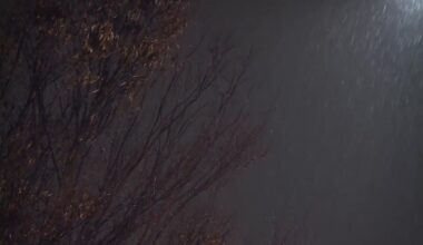 Cal Fire says wildfire risk remains despite recent rainfall in foothills
