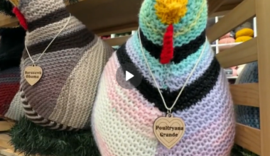 Inglewood small business builds knitting community, garners national attention