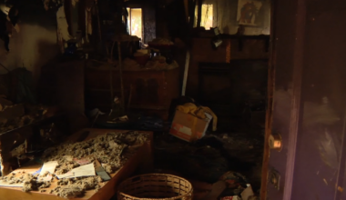 Berkeley urban farmer’s home destroyed in fire
