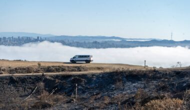 Why Angel Island Needs Fire