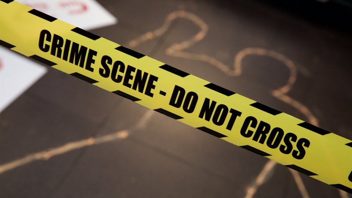 Woman fatally struck by big rig in San Pedro hit-and-run – NBC Los Angeles