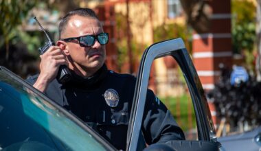 LA Council Requests Additional Research into LAPD TV Reality Show