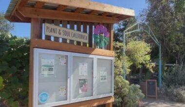 San Jose community garden told to leave as land is sold to developer