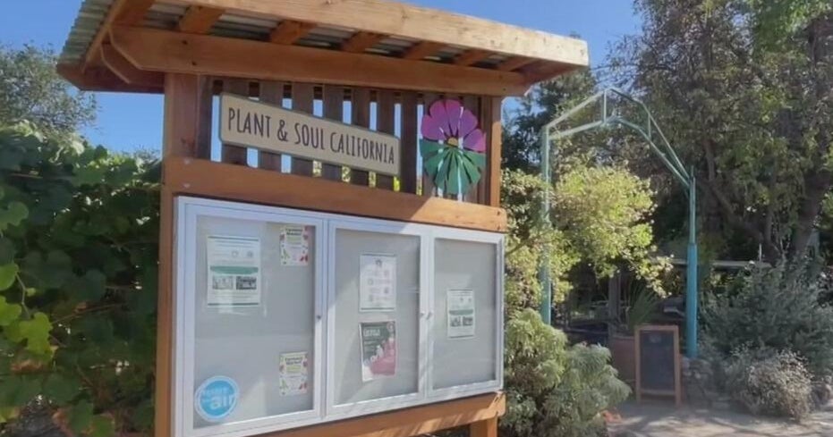 San Jose community garden told to leave as land is sold to developer