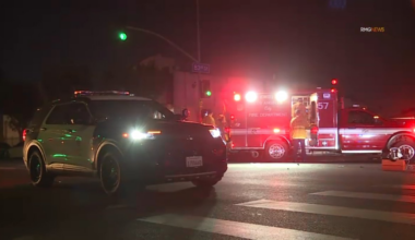 Person dies after being struck by hit-and-run driver in South LA – NBC Los Angeles