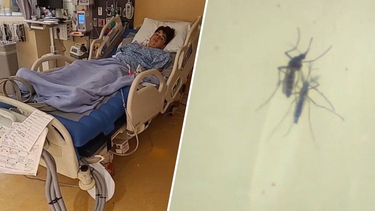 SoCal mom’s warning after son hospitalized with West Nile – NBC Los Angeles