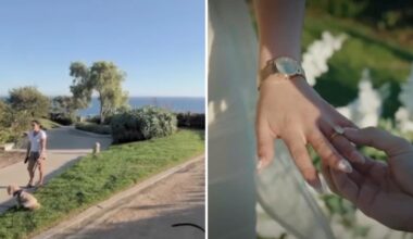 ‘Go back to Mexico.’ Laguna Beach proposal takes ugly turn – NBC Los Angeles
