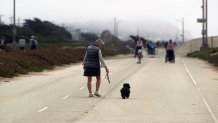 Visitors recreate at San Francisco’s Sunset Dunes Park .