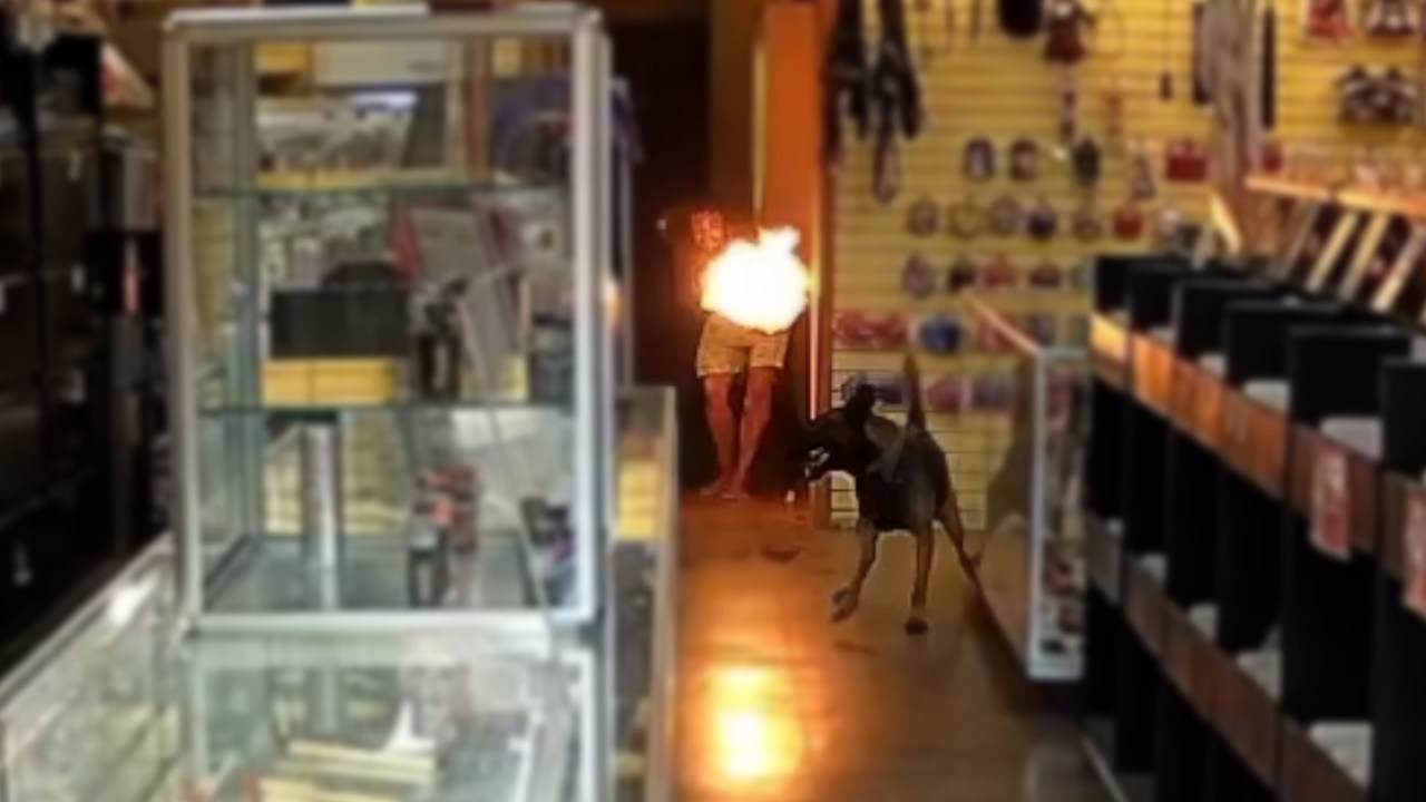 Video released of police shooting in North Park incident that left officers, K9 with burn injuries – San Diego Union-Tribune